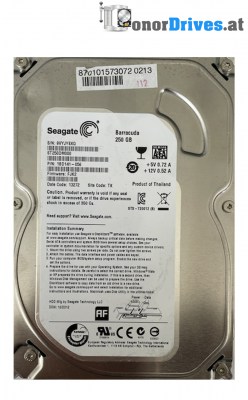 Seagate - ST250DM000 - 1BD141-056 - 250 GB - Pcb 100535704 Rev. C